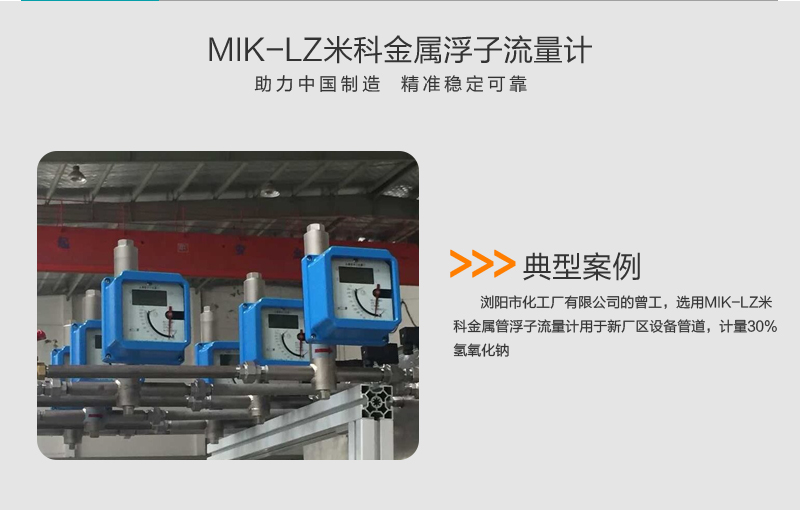 米科MIK-LZ金属管浮子/转子流量计案例
